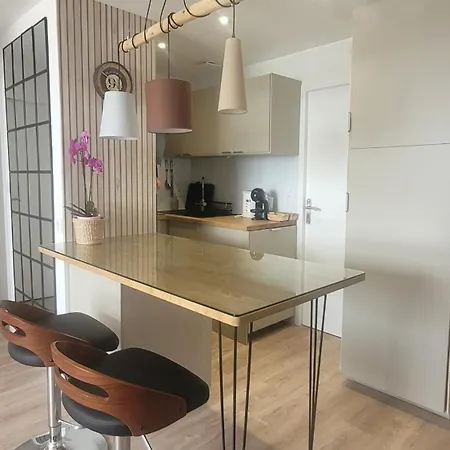 Appartement Oceandream Vue 180 Accès Direct Des Mouettes